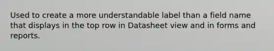 Used to create a more understandable label than a field name that displays in the top row in Datasheet view and in forms and reports.