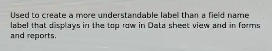Used to create a more understandable label than a field name label that displays in the top row in Data sheet view and in forms and reports.