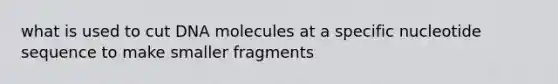 what is used to cut DNA molecules at a specific nucleotide sequence to make smaller fragments