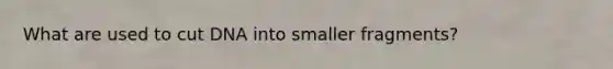 What are used to cut DNA into smaller fragments?