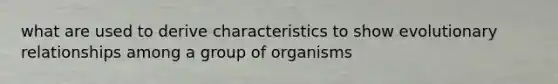 what are used to derive characteristics to show evolutionary relationships among a group of organisms