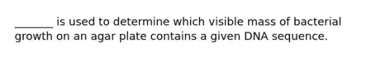 _______ is used to determine which visible mass of bacterial growth on an agar plate contains a given DNA sequence.