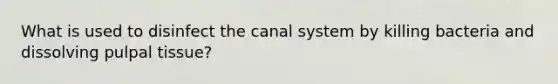 What is used to disinfect the canal system by killing bacteria and dissolving pulpal tissue?