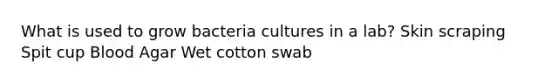 What is used to grow bacteria cultures in a lab? Skin scraping Spit cup Blood Agar Wet cotton swab