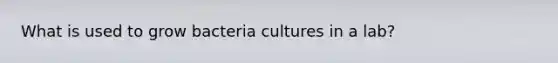 What is used to grow bacteria cultures in a lab?