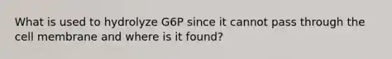 What is used to hydrolyze G6P since it cannot pass through the cell membrane and where is it found?