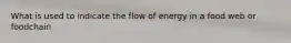 What is used to indicate the flow of energy in a food web or foodchain