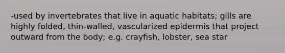 -used by invertebrates that live in aquatic habitats; gills are highly folded, thin-walled, vascularized epidermis that project outward from the body; e.g. crayfish, lobster, sea star