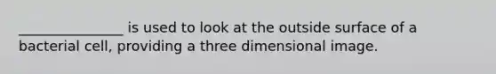 _______________ is used to look at the outside surface of a bacterial cell, providing a three dimensional image.