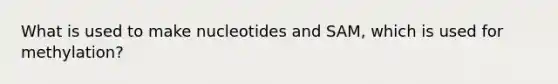 What is used to make nucleotides and SAM, which is used for methylation?