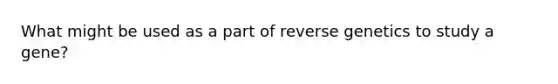 What might be used as a part of reverse genetics to study a gene?