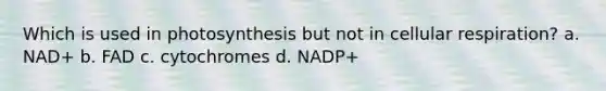 Which is used in photosynthesis but not in cellular respiration? a. NAD+ b. FAD c. cytochromes d. NADP+