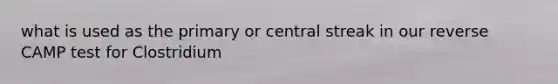 what is used as the primary or central streak in our reverse CAMP test for Clostridium