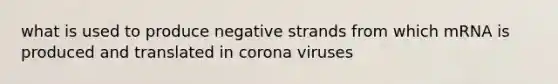 what is used to produce negative strands from which mRNA is produced and translated in corona viruses