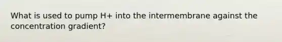 What is used to pump H+ into the intermembrane against the concentration gradient?