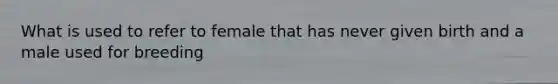 What is used to refer to female that has never given birth and a male used for breeding