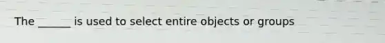 The ______ is used to select entire objects or groups