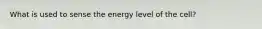 What is used to sense the energy level of the cell?