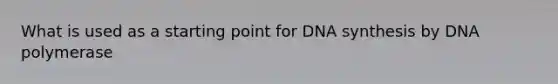 What is used as a starting point for DNA synthesis by DNA polymerase