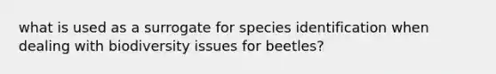 what is used as a surrogate for species identification when dealing with biodiversity issues for beetles?