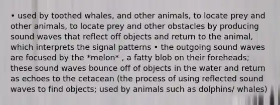 • used by toothed whales, and other animals, to locate prey and other animals, to locate prey and other obstacles by producing sound waves that reflect off objects and return to the animal, which interprets the signal patterns • the outgoing sound waves are focused by the *melon* , a fatty blob on their foreheads; these sound waves bounce off of objects in the water and return as echoes to the cetacean (the process of using reflected sound waves to find objects; used by animals such as dolphins/ whales)