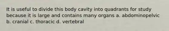 It is useful to divide this body cavity into quadrants for study because it is large and contains many organs a. abdominopelvic b. cranial c. thoracic d. vertebral