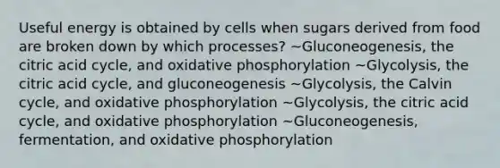 Useful energy is obtained by cells when sugars derived from food are broken down by which processes? ~Gluconeogenesis, the citric acid cycle, and oxidative phosphorylation ~Glycolysis, the citric acid cycle, and gluconeogenesis ~Glycolysis, the Calvin cycle, and oxidative phosphorylation ~Glycolysis, the citric acid cycle, and oxidative phosphorylation ~Gluconeogenesis, fermentation, and oxidative phosphorylation