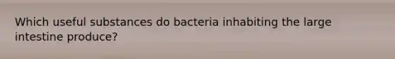 Which useful substances do bacteria inhabiting the large intestine produce?