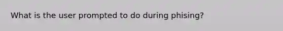 What is the user prompted to do during phising?