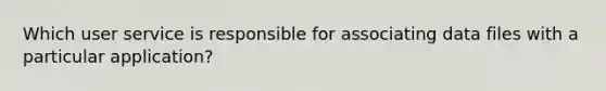 Which user service is responsible for associating data files with a particular application?