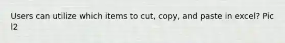 Users can utilize which items to cut, copy, and paste in excel? Pic l2