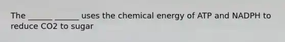 The ______ ______ uses the chemical energy of ATP and NADPH to reduce CO2 to sugar