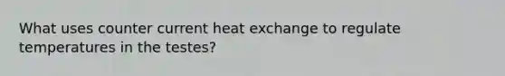 What uses counter current heat exchange to regulate temperatures in the testes?