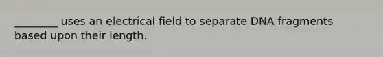 ________ uses an electrical field to separate DNA fragments based upon their length.