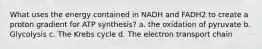 What uses the energy contained in NADH and FADH2 to create a proton gradient for ATP synthesis? a. the oxidation of pyruvate b. Glycolysis c. The Krebs cycle d. The electron transport chain