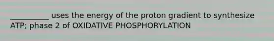 __________ uses the energy of the proton gradient to synthesize ATP; phase 2 of OXIDATIVE PHOSPHORYLATION