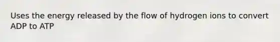 Uses the energy released by the flow of hydrogen ions to convert ADP to ATP