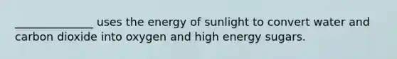 ______________ uses the energy of sunlight to convert water and carbon dioxide into oxygen and high energy sugars.