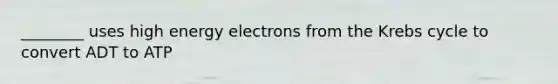 ________ uses high energy electrons from the <a href='https://www.questionai.com/knowledge/kqfW58SNl2-krebs-cycle' class='anchor-knowledge'>krebs cycle</a> to convert ADT to ATP