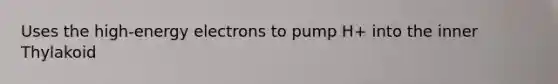 Uses the high-energy electrons to pump H+ into the inner Thylakoid