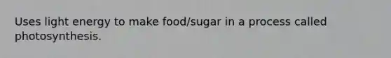 Uses light energy to make food/sugar in a process called photosynthesis.