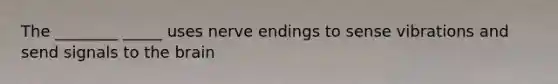 The ________ _____ uses nerve endings to sense vibrations and send signals to the brain