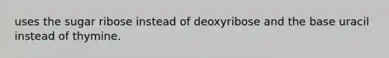 uses the sugar ribose instead of deoxyribose and the base uracil instead of thymine.