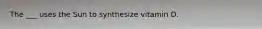 The ___ uses the Sun to synthesize vitamin D.