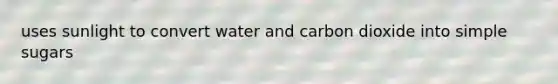 uses sunlight to convert water and carbon dioxide into simple sugars