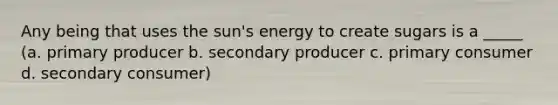 Any being that uses the sun's energy to create sugars is a _____ (a. primary producer b. secondary producer c. primary consumer d. secondary consumer)