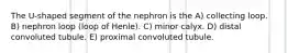 The U-shaped segment of the nephron is the A) collecting loop. B) nephron loop (loop of Henle). C) minor calyx. D) distal convoluted tubule. E) proximal convoluted tubule.