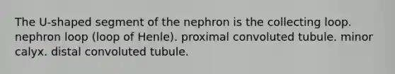 The U-shaped segment of the nephron is the collecting loop. nephron loop (loop of Henle). proximal convoluted tubule. minor calyx. distal convoluted tubule.