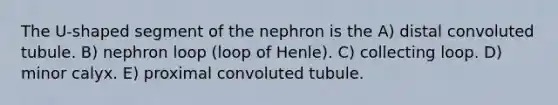 The U-shaped segment of the nephron is the A) distal convoluted tubule. B) nephron loop (loop of Henle). C) collecting loop. D) minor calyx. E) proximal convoluted tubule.