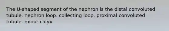 The U-shaped segment of the nephron is the distal convoluted tubule. nephron loop. collecting loop. proximal convoluted tubule. minor calyx.